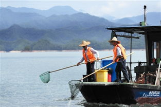 守护一湖秀水